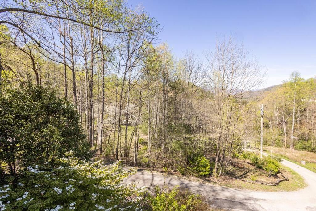 Family Cabin Near Smoky Mtn Entrance Nantahala Robbinsville Buitenkant foto